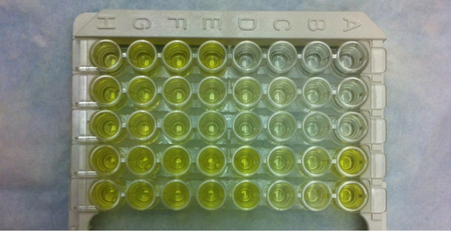 Glass vials in a grid holding liquid in shades of green to clear.